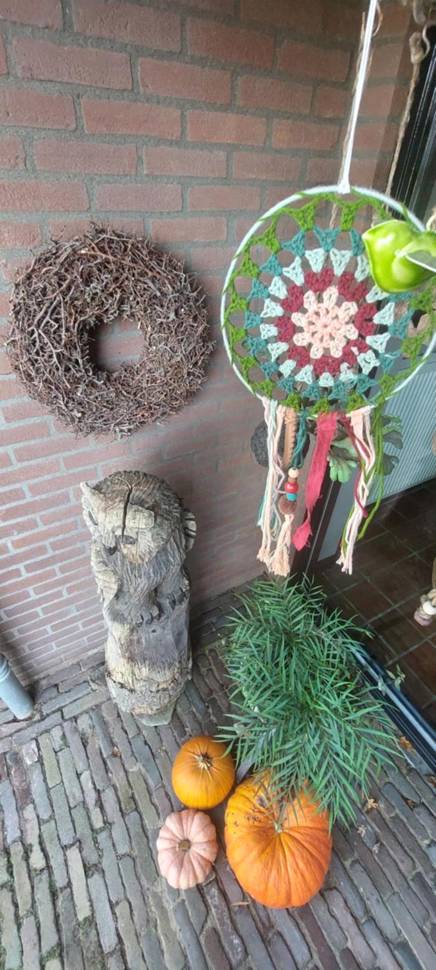 Bed En Breakfast Het Oelenest Hooghalen Esterno foto